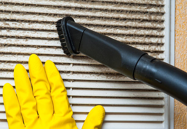 Best Affordable HVAC Duct Cleaning  in Mohnton, PA